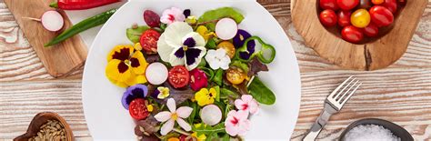 La Sélection De Fleurs Comestibles Draw Me A Garden