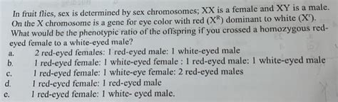 Solved In Fruit Flies Sex Is Determined By Sex Chromosomes Chegg