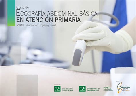 Pdf Curso De Ecograf A Abdominal B Sica En Atenci N De Los Mismos