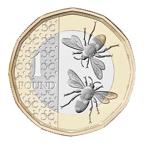 2025 Bee Definitive £1 Circulated Coin