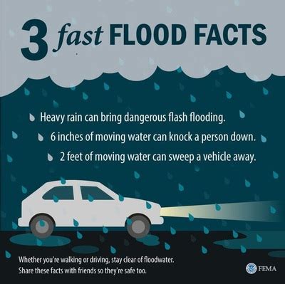 survival guide - introduction to floods