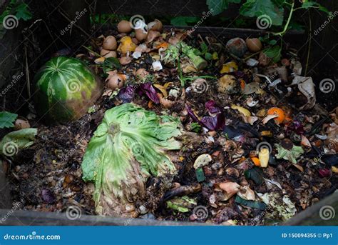 organic composting biodegradable waste pile vegetable fruits bio