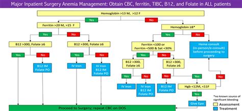 Perioperative Anemia Management International Anesthesiology Clinics