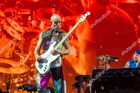 Flea Red Hot Chili Peppers Performs Editorial Stock Photo Stock Image Shutterstock