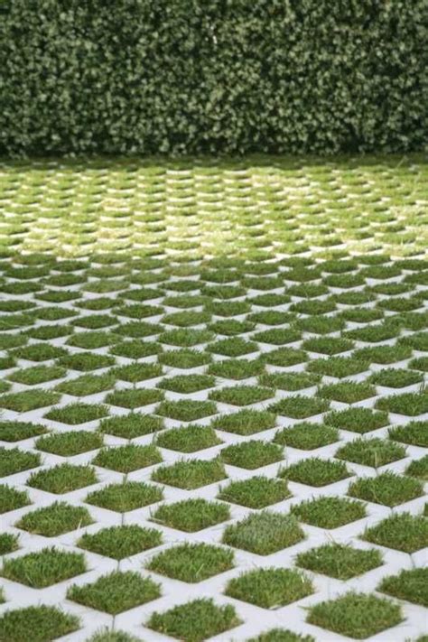 Grass Growing In The Shape Of Small Squares