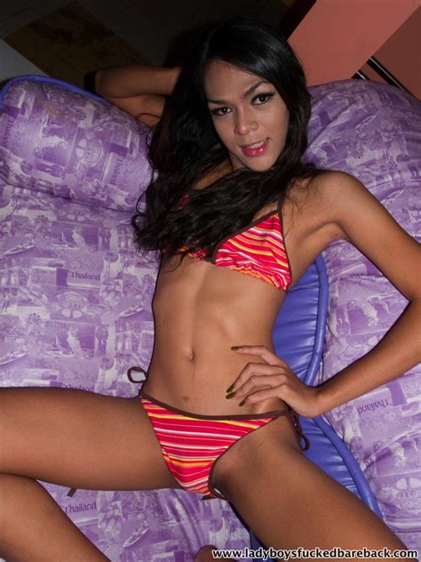 Asian Ladyboy Bareback Sex Porn Pictures Xxx Photos Sex Images Pictoa