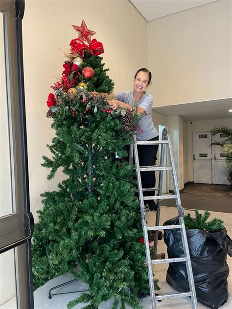 Quando Pode Desmontar A Árvore De Natal - "Decidindo o Momento Ideal para Desmontar a Árvore de Natal e as ...