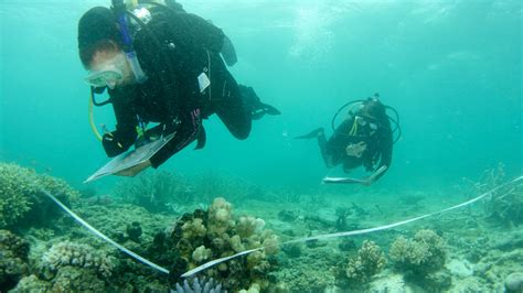 Australia pledges $704 million to save Great Barrier Reef – CBS17.com