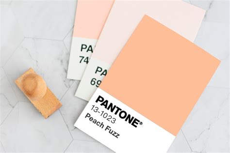 Unveiling The Pantone Of The Year 2024 Charm Gusto