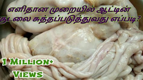 How To Clean Goat Intestine In Tamil Easy Method Youtube