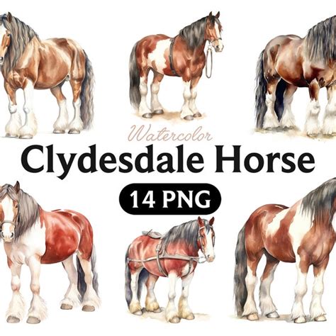 Clydesdale Horse - Etsy