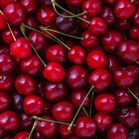 Stream Play With My Pussy By Elayvfxs Listen Online For Free On Soundcloud