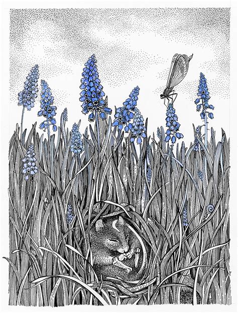 Giacinto mouse (Мышиный гиацинт) 15х20 | Behance