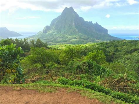 Hiking in Moorea, French Polynesia