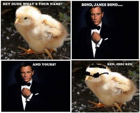 James Bond Quotes Funny - ShortQuotes.cc