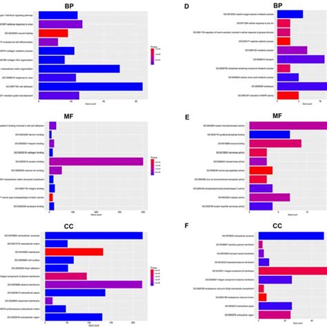 Kegg Pathway Enrichment Analysis For The Significant Degs A The Top