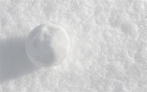 Snowball Images – Browse 130,110 Stock Photos, Vectors, and Video