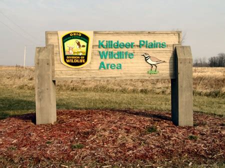 Killdeer Plains Wildlife Area :: Birds of Ohio