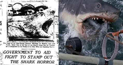 Shark Attacks Of 1916: Four Gruesome Deaths That Began Shark Mania