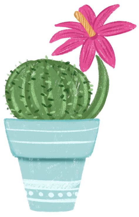 Cactus Pink Flower In A Blue Pot 15313697 Png