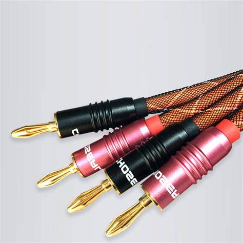 Choseal LB 5111 HIFI Audiophile 4N OFC Speaker Cable 24K Gold Plated