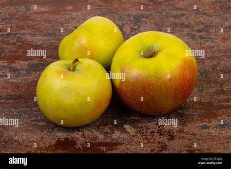 Sweet Apples Nude Cumception