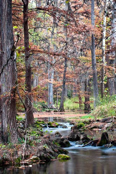 Honey Creek State Natural Area Nature — Texas Parks & Wildlife Department