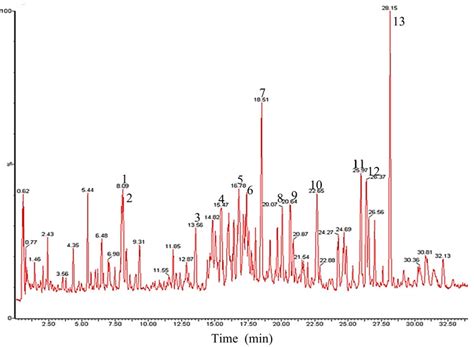 Total Ion Chromatogram Of Uplcnegative Esi Q Tof Ms Of Download