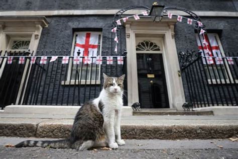 How Larry the Cats death will be marked by Downing Street under