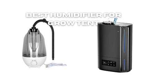 Nude Camping Let S Camp Naked Agile Camping