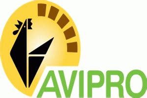 avipro   member   asheshs perso blog