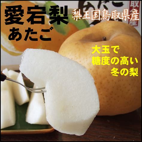 早期 鳥取県産 愛宕 あたご 梨 5kg箱 5 14玉入 11月中旬 下旬頃 予約順に出荷 訳あり自家用王秋なしシャイン梨｜売買された