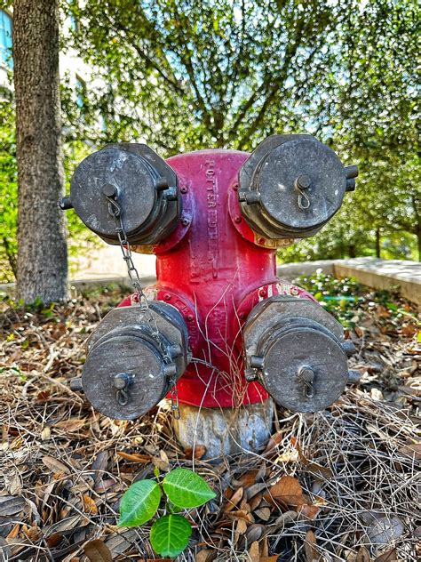 Hydranten Hydrant Feuer Kostenloses Foto Auf Pixabay Pixabay