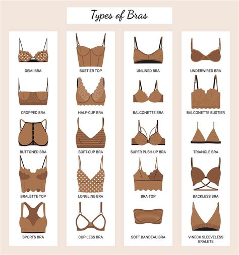 Types Of Bras Big Vector Collection Of Lingerie Set Of Underwear