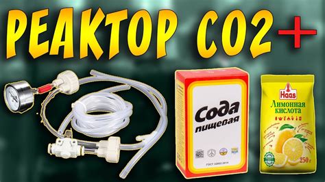 СИСТЕМА ПОДАЧИ УГЛЕКИСЛОГО ГАЗА СО2 ДЛЯ АКВАРИУМА С АЛИЭКСПРЕСС! ОБЗОР ...