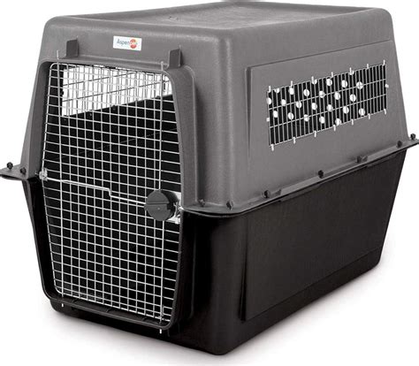 top   large  extra large dog crates   animalso