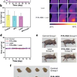 Antitumor therapy in vivo Nude mice bearing MCF 7 tumors n ¼ 16 were Download Scientific