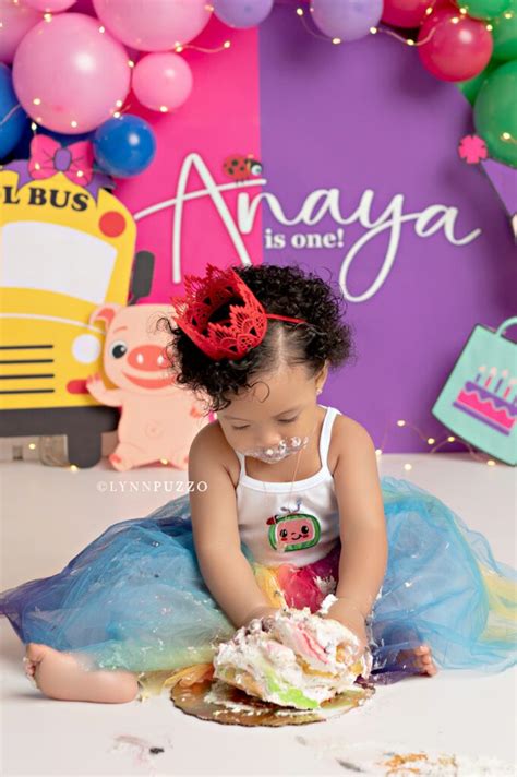 Cocomelon Cake Smash Anaya Lynn Puzzo Photography