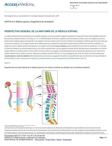 CAPÍTULO 5 Médula espinal y diagnóstico de mielopa Damaris Rosales