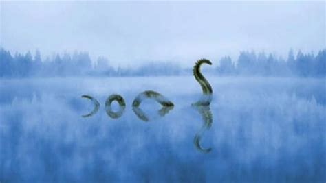 Legend Of The Locness Monster Illustration
