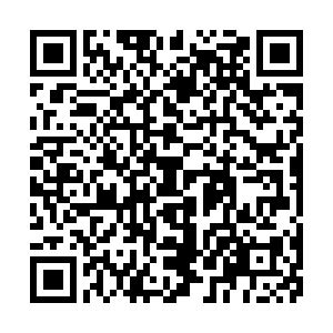 Rumor of Chinese scientists deleting sequencing data cleared up - CGTN