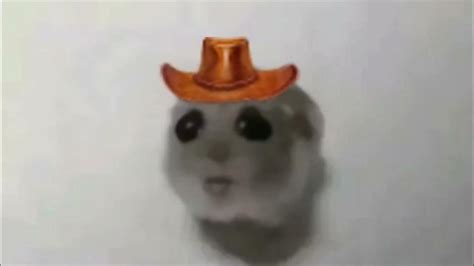 стоять хомяк🐹 - YouTube