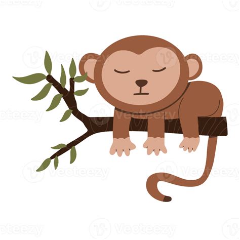 monkey sleeping  tree illustration  png