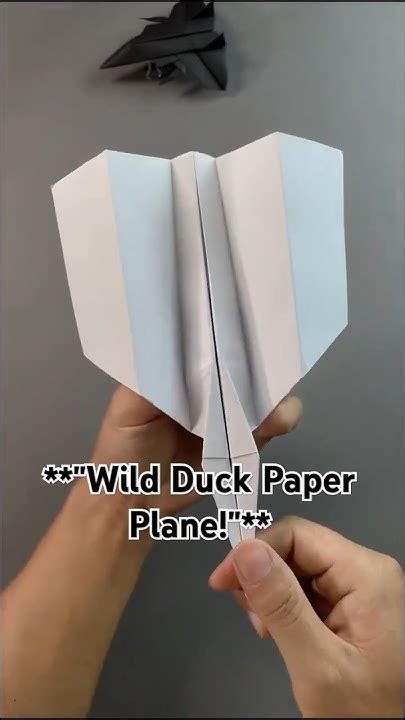 wild duck paper airplane unique super stable flight