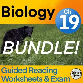 Ch Bundle Biodiversity And Classification By Science Spree Tpt