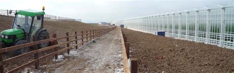 Thanet Earth Landscaping project - TWIG Group case study