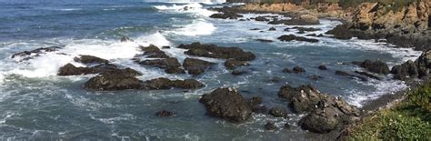 Top Pet Friendly Hotels in Cambria, California | Hotels.com