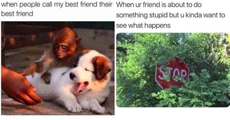 Are You Really BFFs If You Both Don't Share Memes About Being BFFs? (21 ...