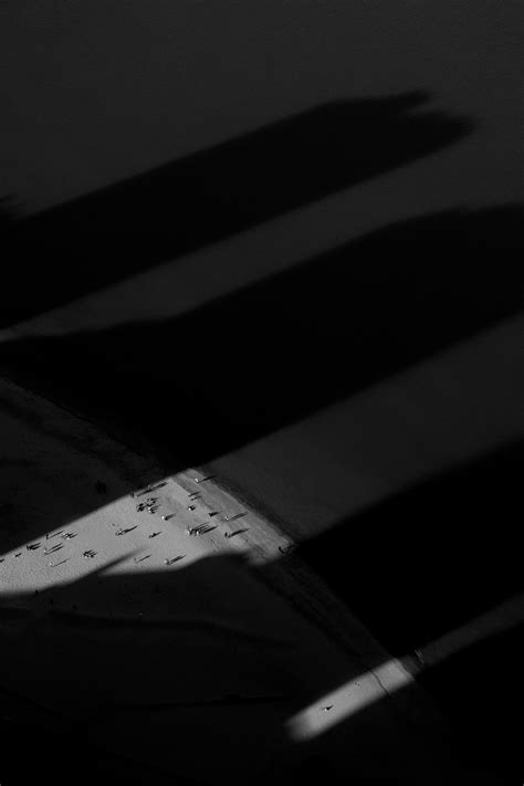 frank bell funeral home in brooklyn