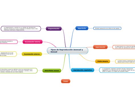 Tipos De Reproducción Asexual Y Sexual Mind Map